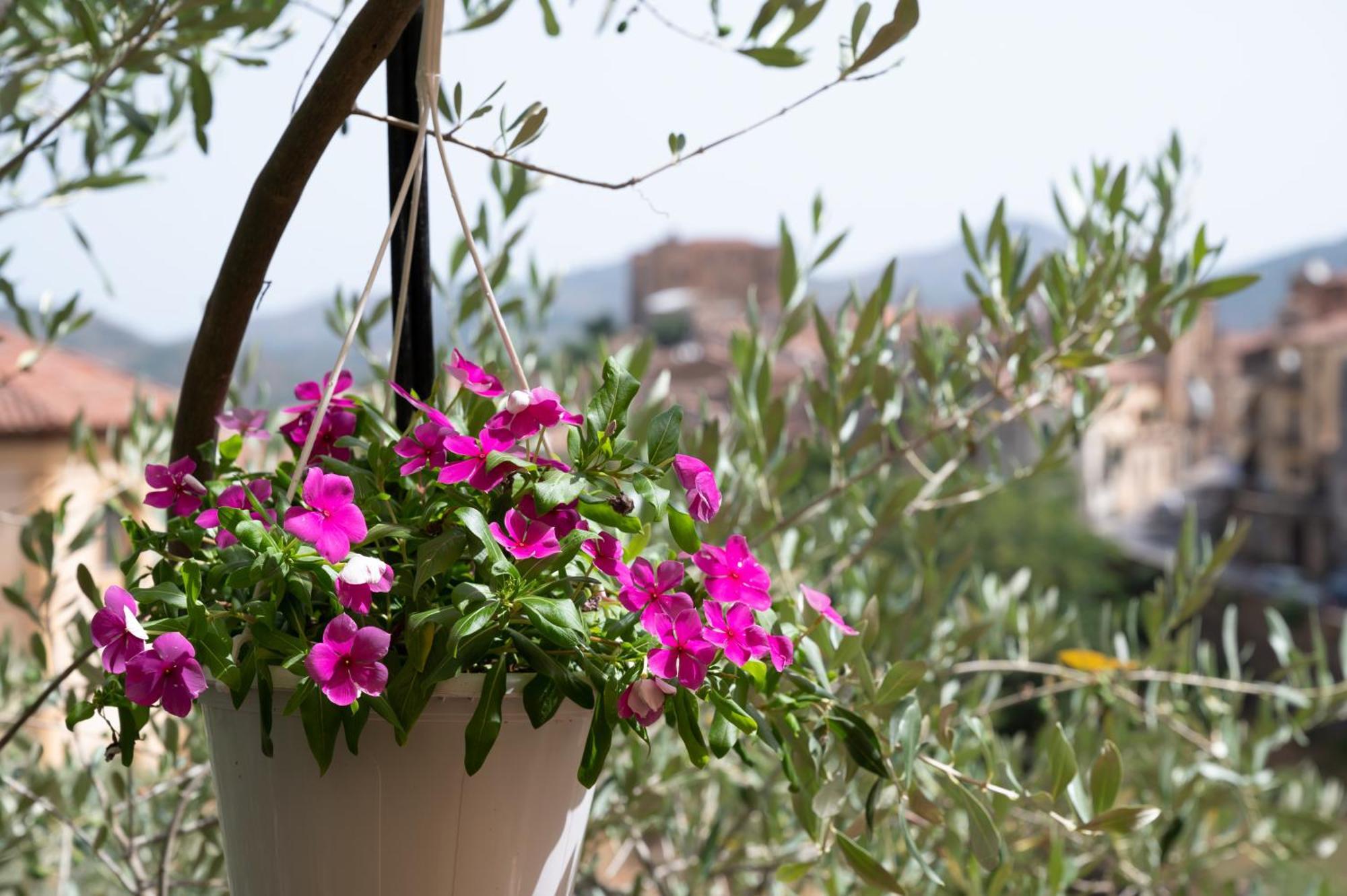 B&B Panorama Castelbuono  Exteriér fotografie